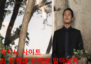 카지노 사이트